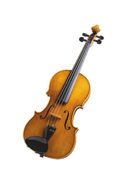 Violin Sounds like: Viola