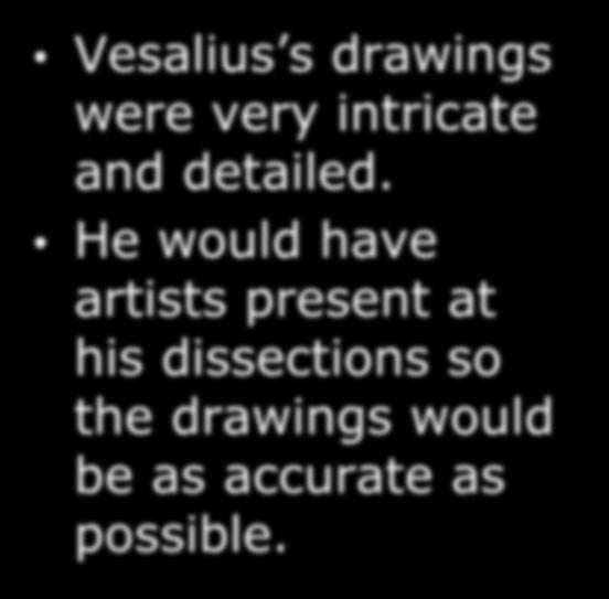 Vesalius s drawings were very