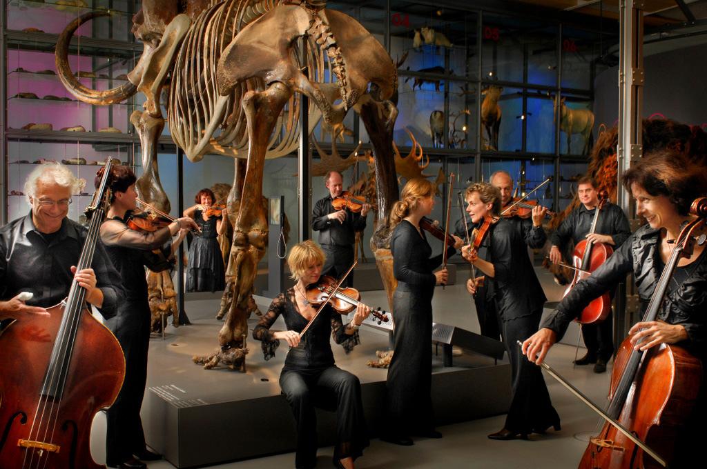 6. Enterprise Sinfonietta Aurora (???) In our opinion the museum consists of two enterprises: a cultural and a social one.