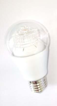 LED Lamp Sample 4 OSRAM PARATHOM ADVANCED CLASSIC A60, dimmable,