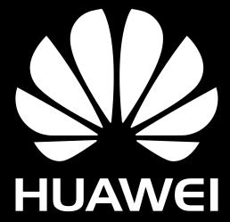 Huawei Zhilei Huang, Huawei Yan Zhuang, Huawei