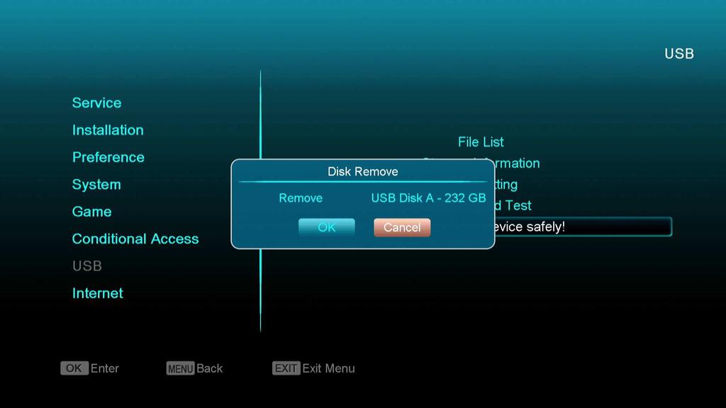 Use this menu you can remove the USB Device safely. You can get a new software from the network via LAN port. 15.