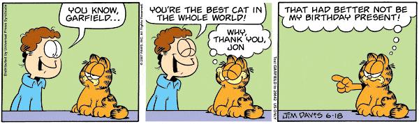 Garfield is a cat that is personified in comic strips.