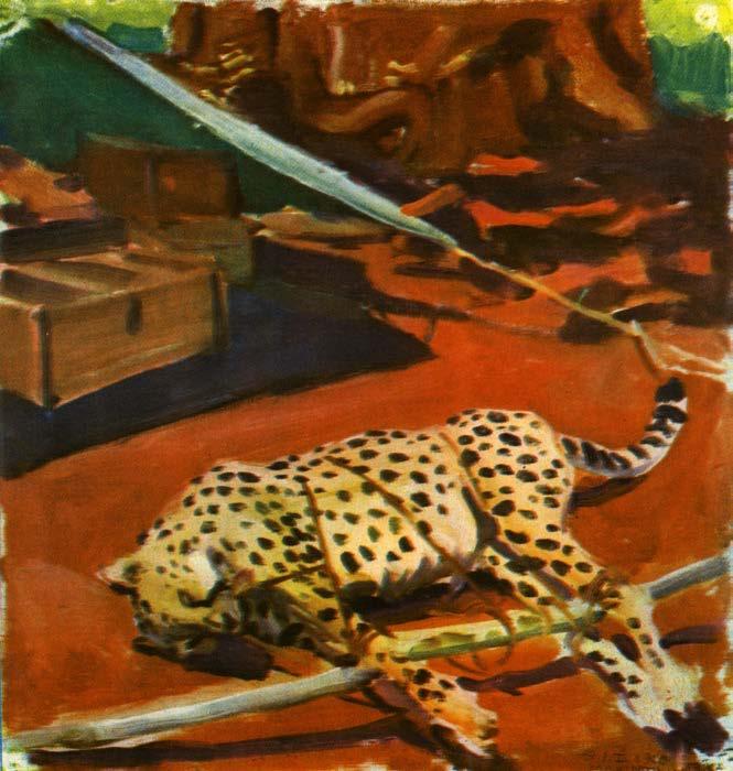 Richey 47 Figure 13 Cheetah, the Leopard's Longlegged Relative in Front of a Tent [Cheetah, pitkäjalkainen leopardin sukulainen teltan edessä], Journal 81. seen in the photographs.