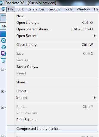 For the EN-library to function, both the elements need to be saved in the same folder/place on the computer, and they must have identical names. If you move the.