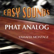 MONTAGE PREMIUM SOUNDLIBRARIES FROM EASY SOUNDS MONTAGE PHAT ANALOG Synthleads, pads & more!