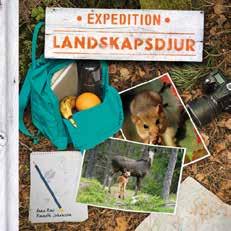 Anna Roos (text & photo) & Kenneth Johansson (photo) Expedition Wildlife Hard cover, 210 x 225 mm, 120 pp Non-Fiction Children & Young Adults (ages 8-12) Anna Roos Who is the Paste Thief?