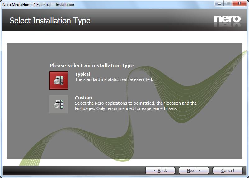 6. Click the Next button. The Select Installation Type screen is displayed.