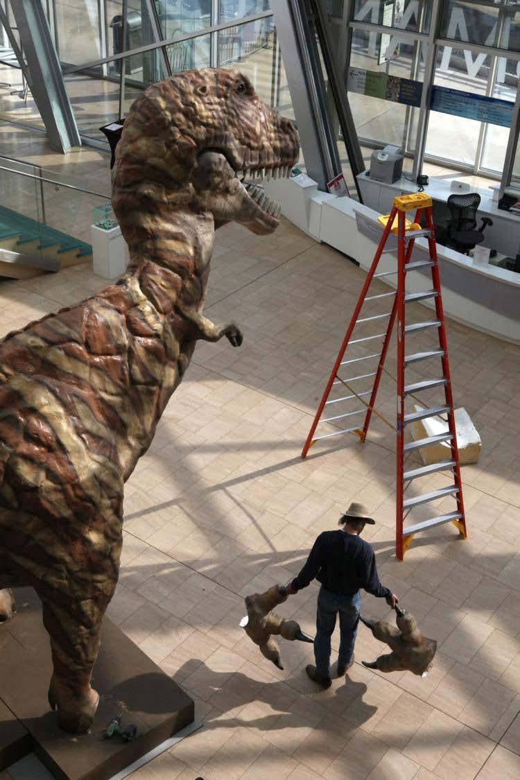Cline carries the claws of a giant Tyrannosaurs rex sculpture through the Taubman