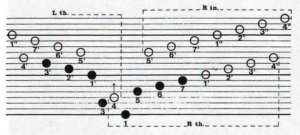 The Ancient Karimba Note Layout 3' 2' 1' 5 3 6 7 1 Those eight basic notes are at the heart of every Shona kalimba or mbira. (Shona culture and language come from Zimbabwe and neighboring countries.