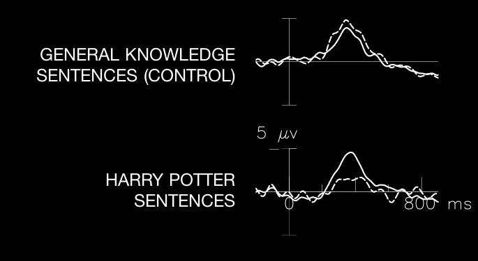 To tease apart contributions of (1) knowledge of individual items and (2) knowledge of the domain (Harry Potter) to semantic access, we asked participants to read sentences, all of which were