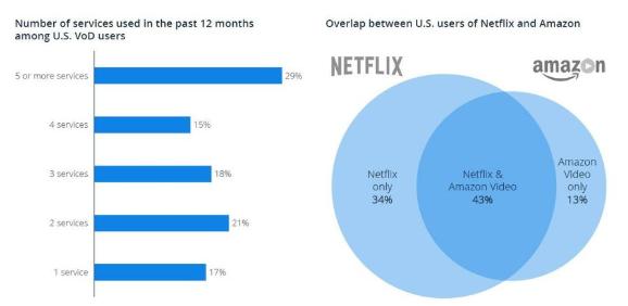 Industry Analysis The streaming industry has been reshaped over the past few years. A lot of large players were able to gain significant traction.
