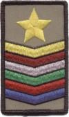 MASTER GUIDE STAR INSIGNIA a. Regulation: The Master Guide Star Insignia is not a required insignia for a basic Pathfinder Uniform.