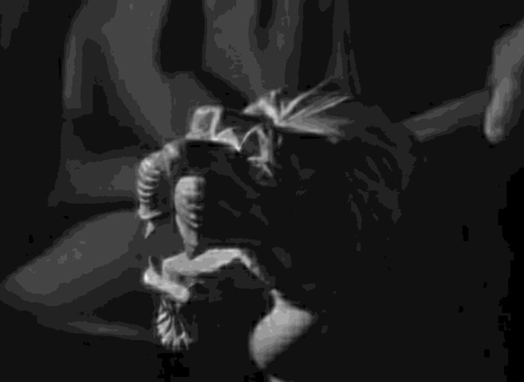 Figure 6 - Jean Cocteau, La Belle et la Bête, armchair lion, film still Only few minutes later is the spectator allowed to see the image of the Beast when a monstrous and at the same time puppet-like