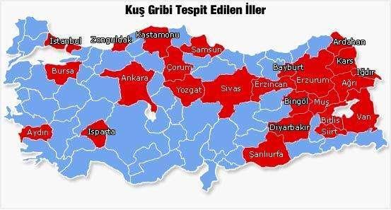Avian influenza epidemics in Türkiye, 1th Jan. 26, http://www.msn.com.
