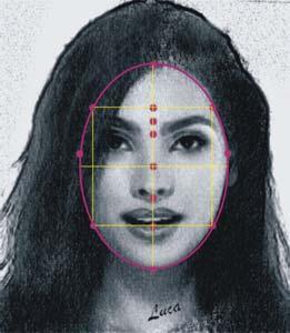 It follows an explanation of the proportional features of each single shape and a description of their facial outline, with particular reference to the anatomical structures, which are responsible