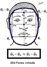 facial third broader than the upper third width.