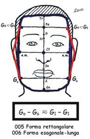 The gonial points are curvilinear, so like the chin, typically round and wide. Vertically, round shapes are often (004) Round facial shape: short or middle faces.