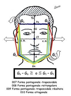 Due to the variability in transversal dimensions, The typical outline of pentagonal faces has three variants (Tr, Rect and TrR), which are