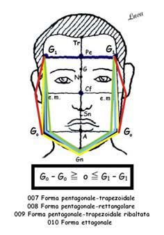 chin like pentagonal faces have (this is the main differential feature).