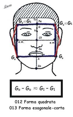 The rhomboidal facial shape has typically the upper 1/3 transversally very similar to lower facial third.