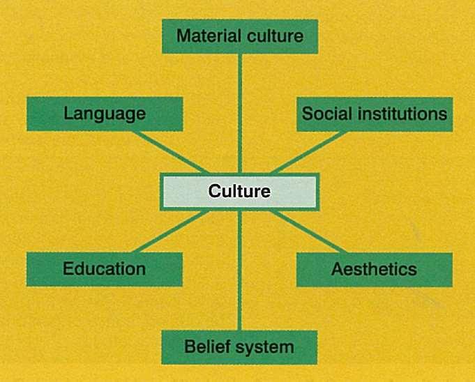 CULTURE AND