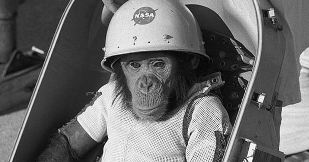 [Issue] :: [Date] My Grandpa By Andrew My grandfather, Captain Allen Cobb, worked on the USS Donner where the first living animal, Ham the chimpanzee, went up into space.