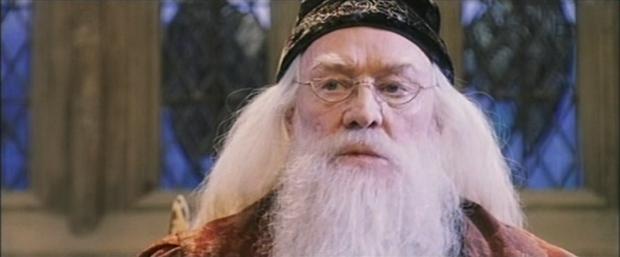 Image 2 Albus Dumbledore Hogwarts is perhaps even more fascinating than Diagon Alley is.