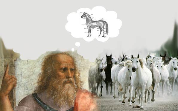 Plato and horses Plato on mathematics, and