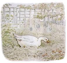 He said he loved eggs and ducklings; he should be proud to see a fine nestful in his woodshed. Jemima Puddle-duck came every afternoon; she laid nine eggs in the nest.
