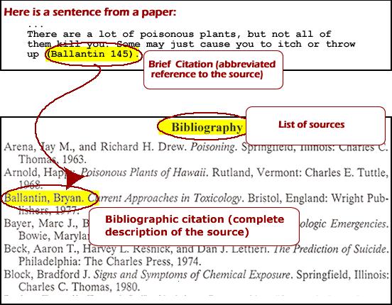 In-Text Citations At the end of each fact from a source, put the FIRST word in your Works Cited page for that source within ( )