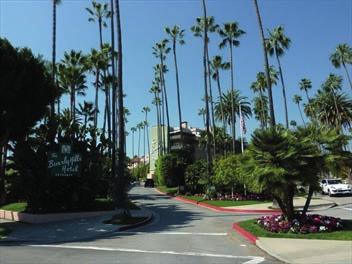 MORNING Hollywood Attractions Universal Studios 100 Universal City Plaza Warner Brothers Studios 3400 West Riverside Drive Exploring Hollywood on a bright and breezy LA morning is always a good idea.