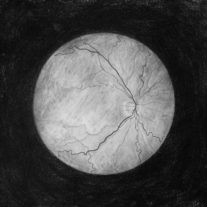 In this drawing, entitled Orbit, I wanted to celebrate the primacy of biological vision and explore what happens when an image enters the camera obscura of the eye, a complex structure that still