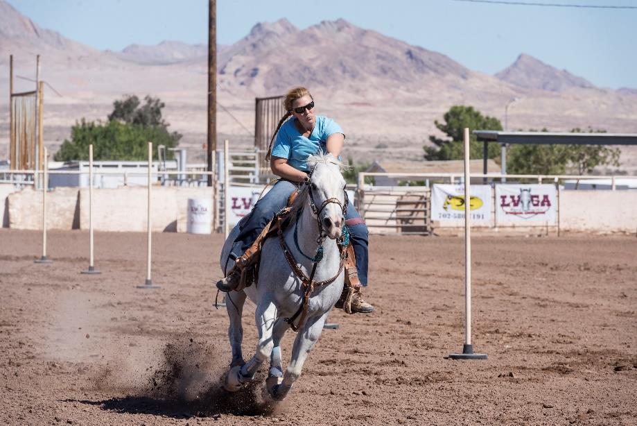LVGA Member Spotlight Shawna Stock Q: How long have you been doing Gymkhana? A: I started doing SNGA in 1987, on my first horse Angel. I was hooked after my first show.