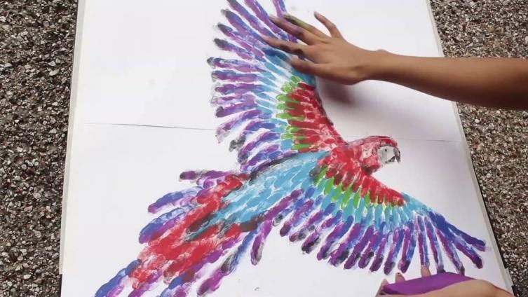 With the help of your thumbprints and fingerprint, draw a parrot, a