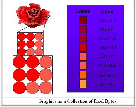 Representing Color Each pixel of the rose flower is to be defined using 24 bits(8 bits/ color RGB) The first 8 bits