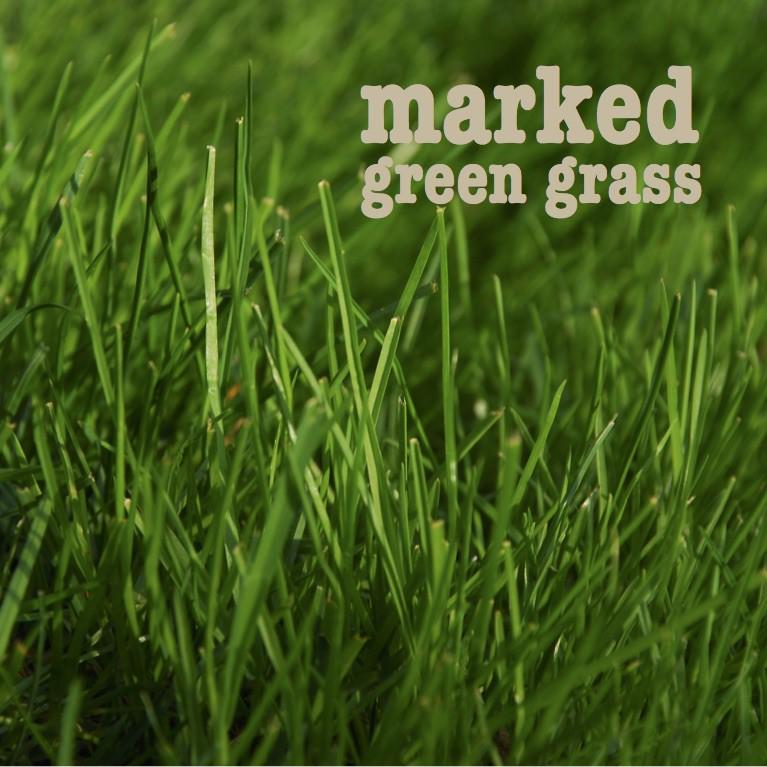 about our music the first single was 'green grass', describing a guy that was left from his love for an other guy.