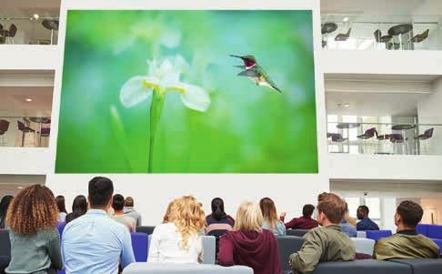 Compare content with a split screen and create a single huge image by combining multiple projectors seamlessly and simultaneously. Up to 8,000 Fleet management Take charge with Management.