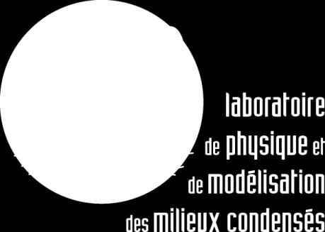 CNRS-Grenoble (physics) Deputy Director at CNRS (theoretical &