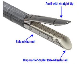 This anvil structure is shown in the following images taken from the SureForm User Manual Addendum and the EndoWrist User Manual Addendum: SureForm Stapler