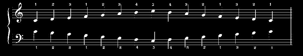 C major, G major (example C Major only) Chords to be played with correct fingering, all three notes plus bass note played simultaneously Hands together using the notation below Two (2) examples.