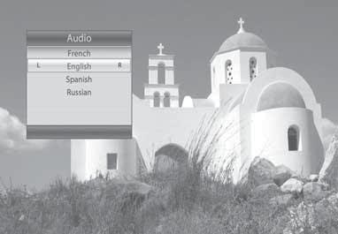 4. Basic Operation 4.6 Audio You can select the language you prefer in Audio if the current programme is available in multiple audio languages. 1. Press the AUDIO button. 2.