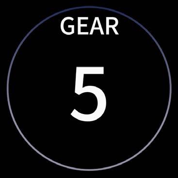 Gear position Displays information on the rear gear position.