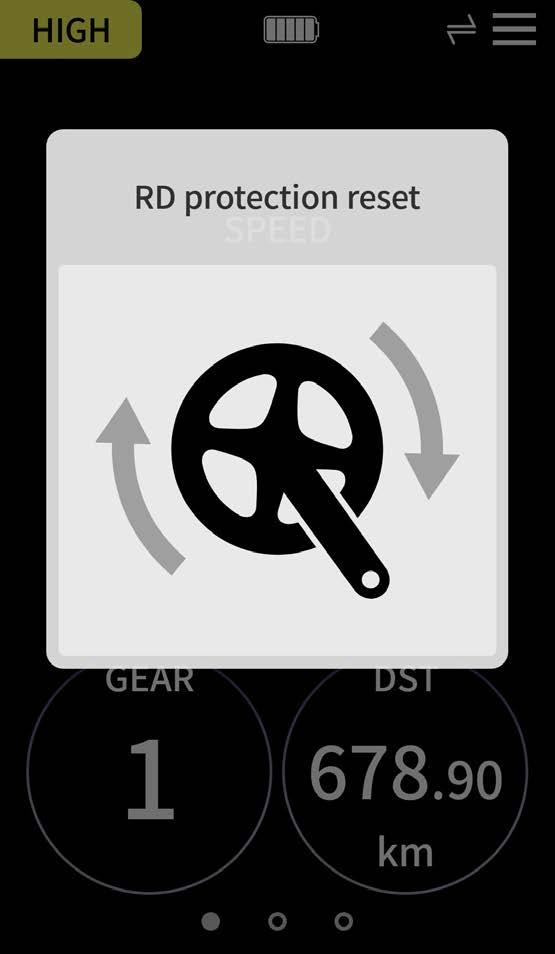 It stops being displayed once RD PROTECTION RESET is run.