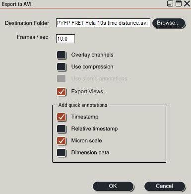 Screenshot of the respective settings for AVI-export Multi Well Plate Screening (Well plate Screening license necessary) A Well Plate Screening Wizard can be activated in the pull down menu of AF6000