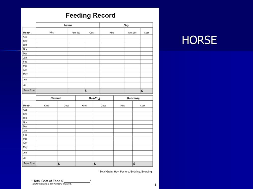Record all feed for your horse