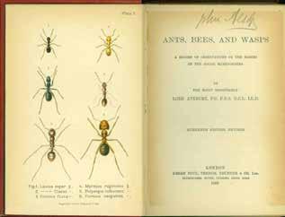 45 [Lubbock, John] Lord Avebury. ANTS, BEES AND WASPS. A Record of Observations on the Habits of the Social Hymenoptera. By the Right Honourable Lord Avebury, P.C. F.R.S. D.C.L. LL.D. Sixteenth Edition, Revised.
