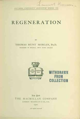 55 Morgan, Thomas Hunt. Columbia University Biological Series. VII. REGENERATION. First Edition; pp.