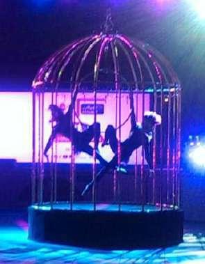 we were selected to Bird in a Cage Show showcase the bird