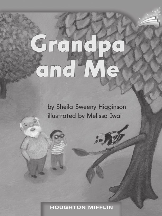 LESSON 2 TEACHER S GUIDE by Sheila Sweeny Higginson Fountas-Pinnell Level C Realistic Fiction Selection Summary A young boy talks about things that his grandfather liked to do as a boy, which they